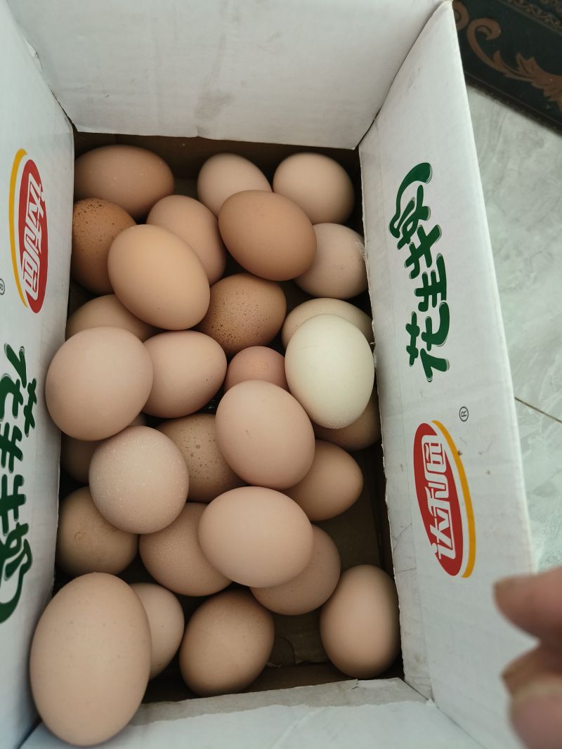 乡下土鸡蛋30枚