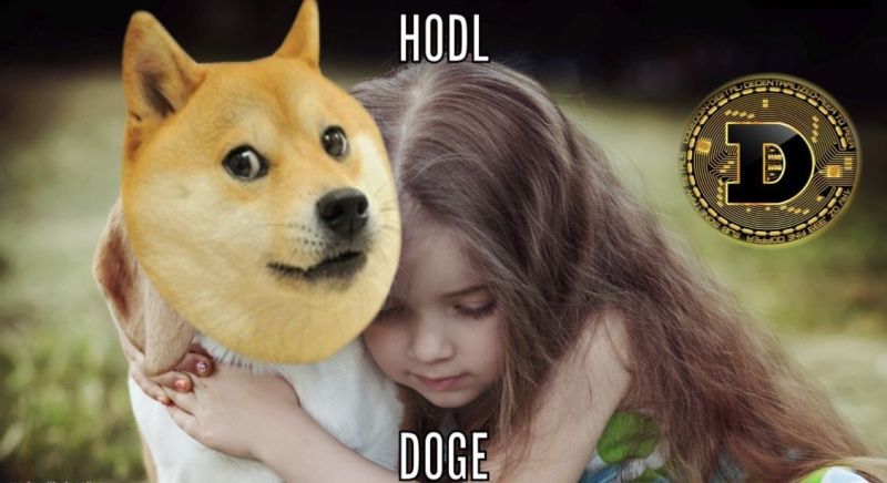 HODL & LOVE DOGECOIN